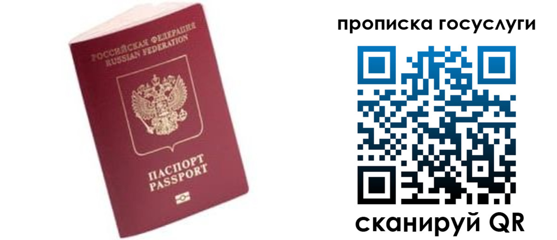 прописка в Сланцах